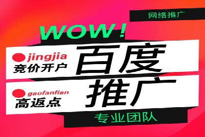 推广竞价策略优化：借鉴成功案例实现精准营销